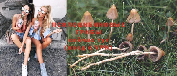 героин Алексин